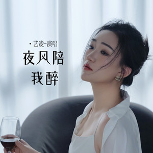 夜风陪我醉