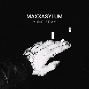 Maxxasylum