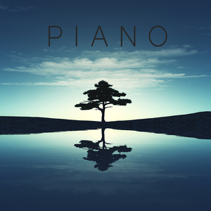 창문을 비추는 달빛