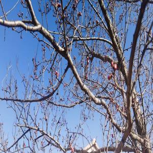 迷幻之音Fk迷幻电音4