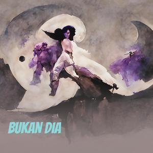 Bukan Dia