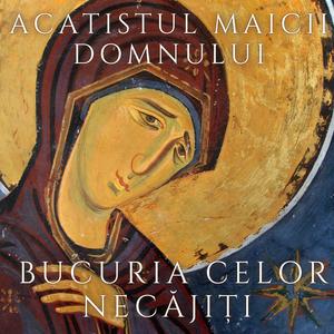 Acatistul Maicii Domnului Bucuria celor necajiti