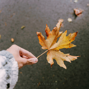 힘든 시간을 보내는 그대에게