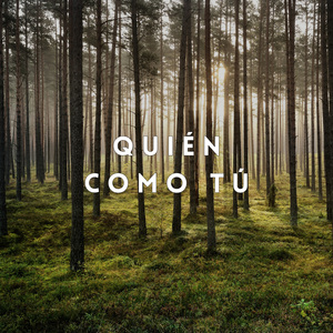 Quién Como Tú