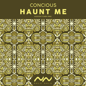 Haunt Me (Extended Remix)