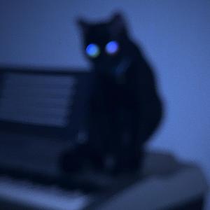 ?????????? (feat. Frank)