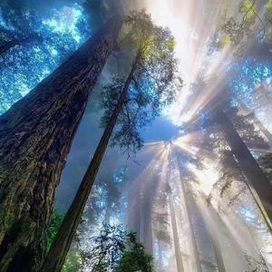 开开-独自唱情歌(hardstyle remix)（开开 remix）