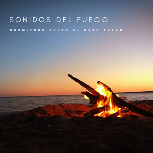 El Fuego En Invierno