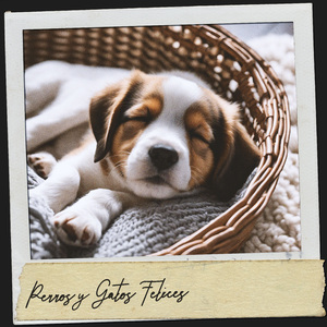 Danza de los Sueños