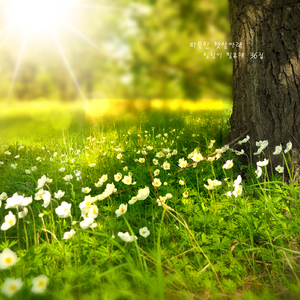 따뜻한 햇살아래