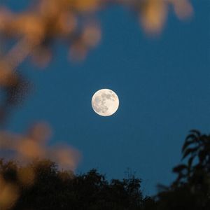 记住了整条街的风