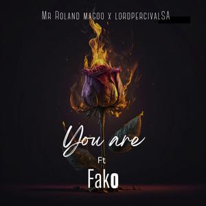 You Are (feat. Mr Roland Magoo & Fako)
