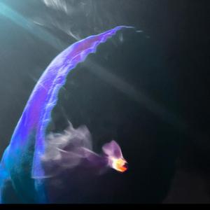 Bustdown (feat. MikeMike8403 & Coolynn)