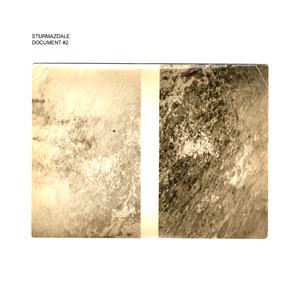 Basidiolichens, Which Form Fruitbodies Resembling Their Nonlichenized