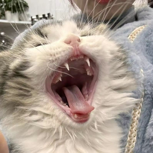 萍水相逢是我们最好的结果