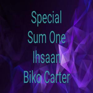 Special Sum One