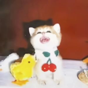 我像个变态一样（Prod by k0wAret4 x youngkyle）