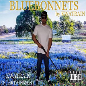 Bluebonnets
