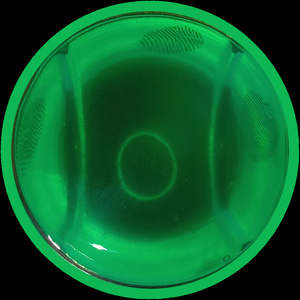 I Cherish You (2025 Remastered Version)