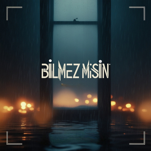 Bilmez Misin?
