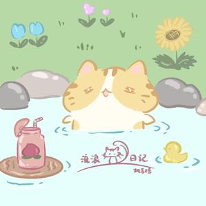 流浪猫日记