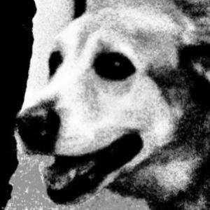 I Wanna See Movies of my Dreams (Live at Hawks and Reed) (Live)