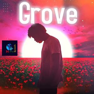 New Dancehall Reggae Instrumental Type Beat (Grove) This Beat is up for NON EXCLUSIVE Licensing MP3 Trackout & Wave