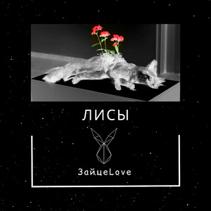 Лисы