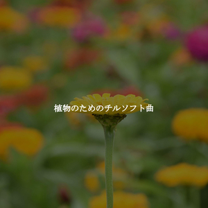 Inspiring Smooth Jazz Saxophone - Vibe for New Year New You