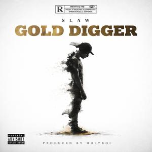 GOLD DIGGER
