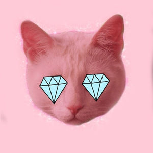 牛仔很忙 （Cover  万妮达）