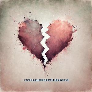 SOMEBODY THAT I USED TO KNOW