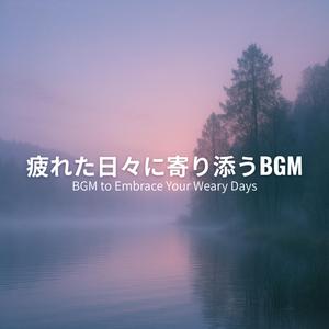 Gentle Evening Light