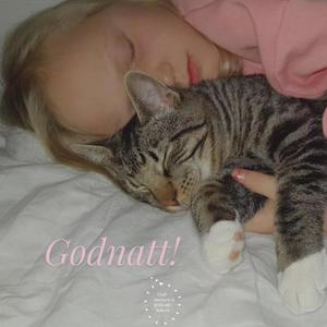 Natten vaggar oss sakta till sömns (feat. Maria Bild & Emil Snabb)