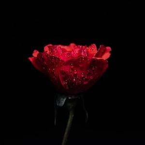 【Scorpio】＂L＂ Melodic Rap Type Beat