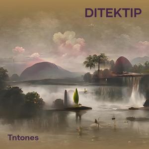 Ditektip