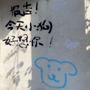报告！今天小狗好想你