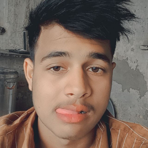 दबंग मीना का छोरा