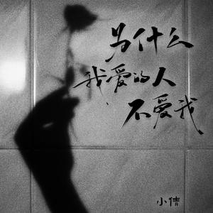 为什么我爱的人不爱我（伴奏）
