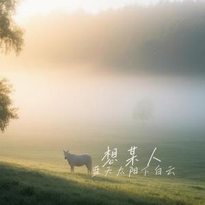 想某人 (Cover 王优秀)