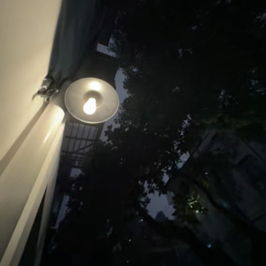 记忆闪频（0.9）