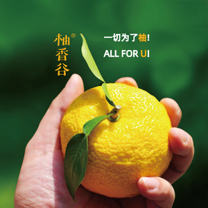 AII for U:双柚之歌