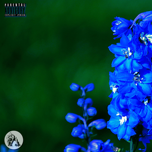 Delphinium (Instrumental)