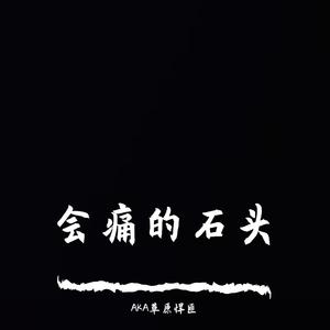 会痛的石头