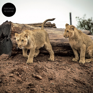 Find What You Love and Let It Kill You