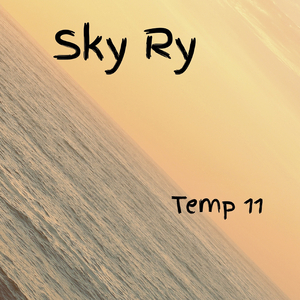 Temp 11