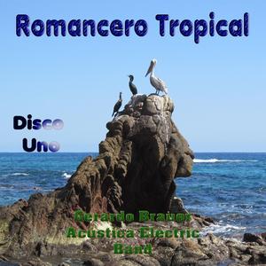 Palmeras irradian sol candente