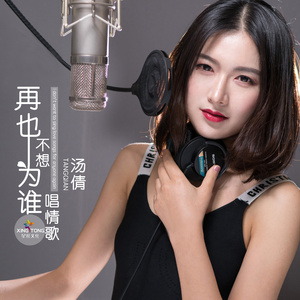 再也不想为谁唱情歌