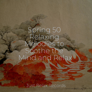 Floating Petals' Journey