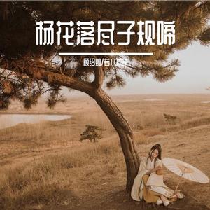 杨花落尽子规啼（翻自 国风堂）